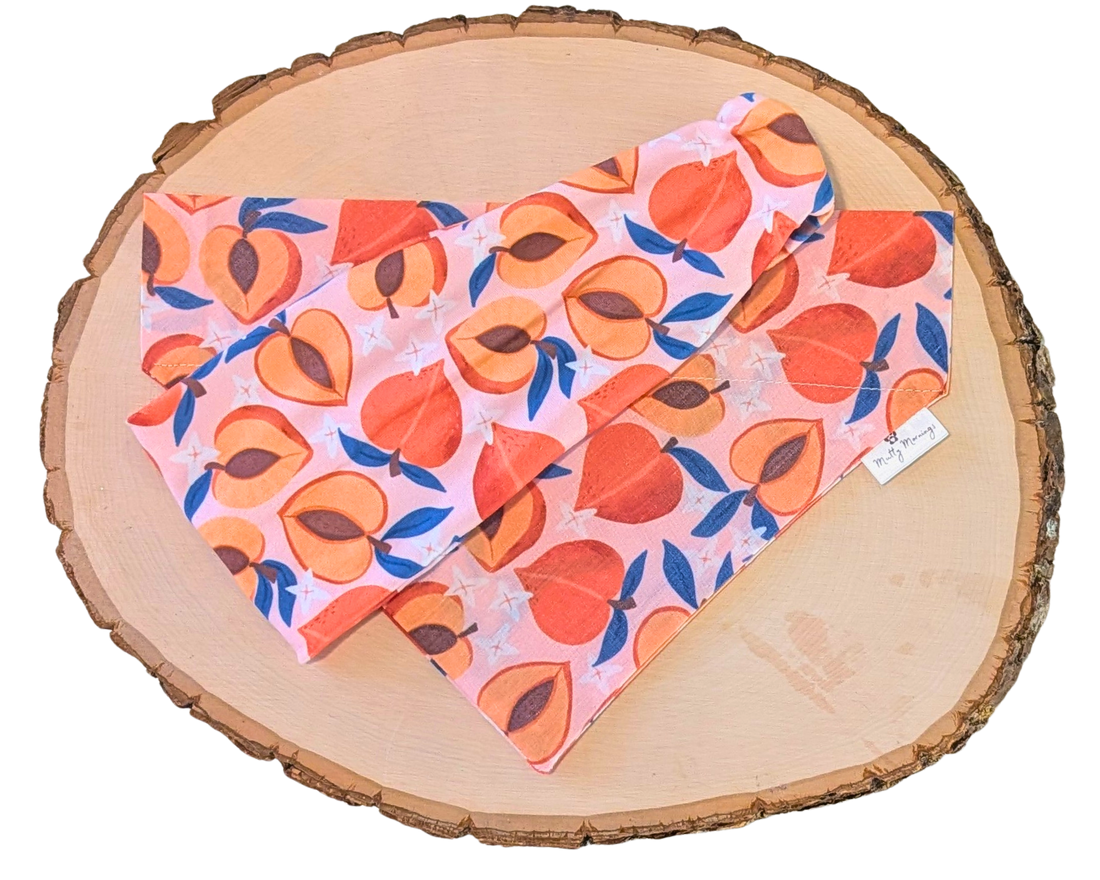 Peachy Keen Bandana &amp; Headband Set - Mutty Mornings