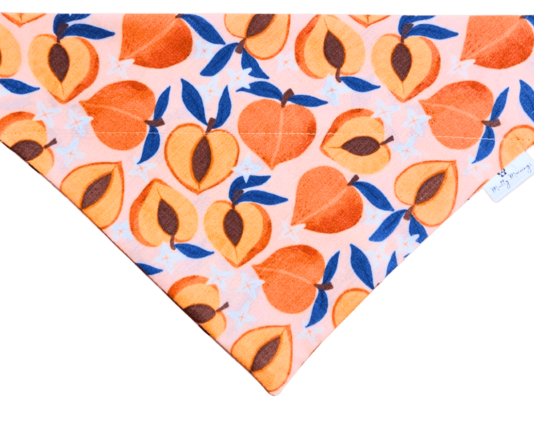 Peachy Keen Pet Bandana - Mutty Mornings