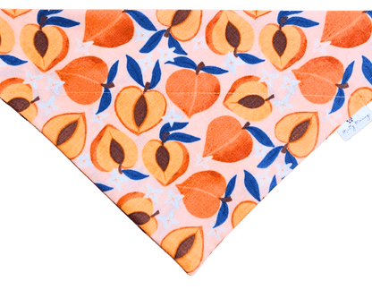 Peachy Keen Pet Bandana - Mutty Mornings