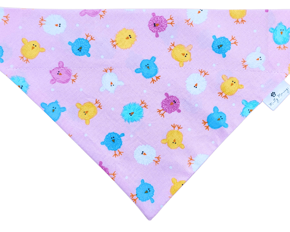 Peep Parade Pet Bandana - Mutty Mornings