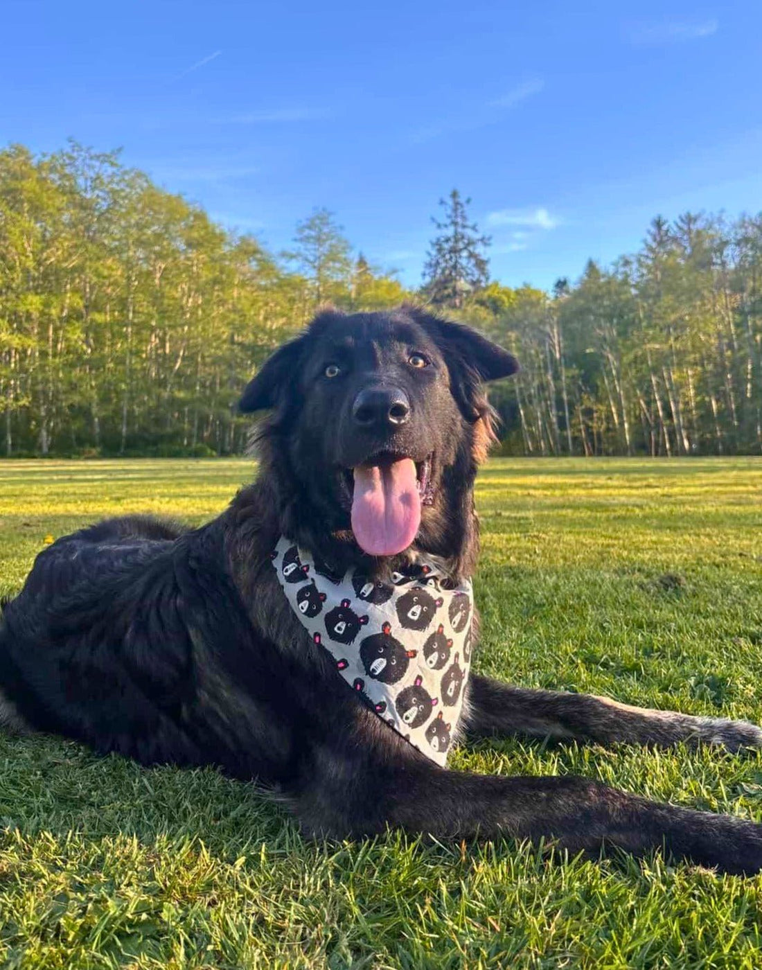 Pine Mountains Pet Bandana - Mutty Mornings