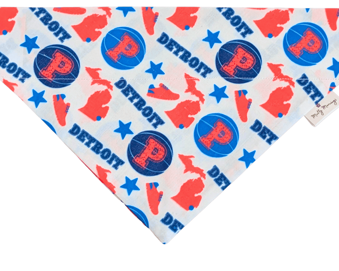 Pistons Bandana &amp; Matching Headband Set - Mutty Mornings