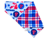 Pistons Plaid Reversible Pet Bandana - Mutty Mornings