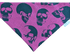 Poison Skull Pet Bandana - Mutty Mornings