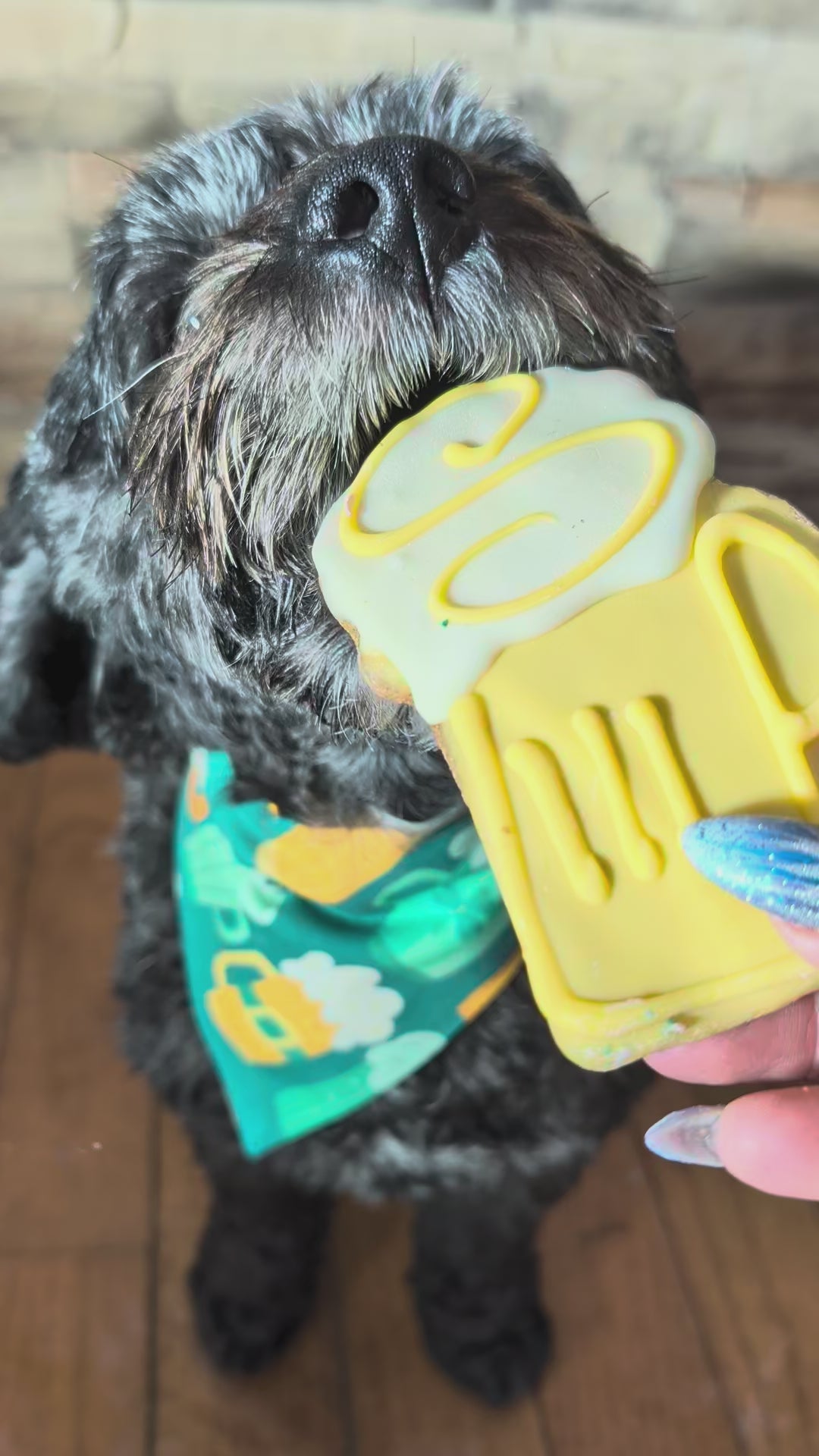 Lucky Brews Pet Bandana