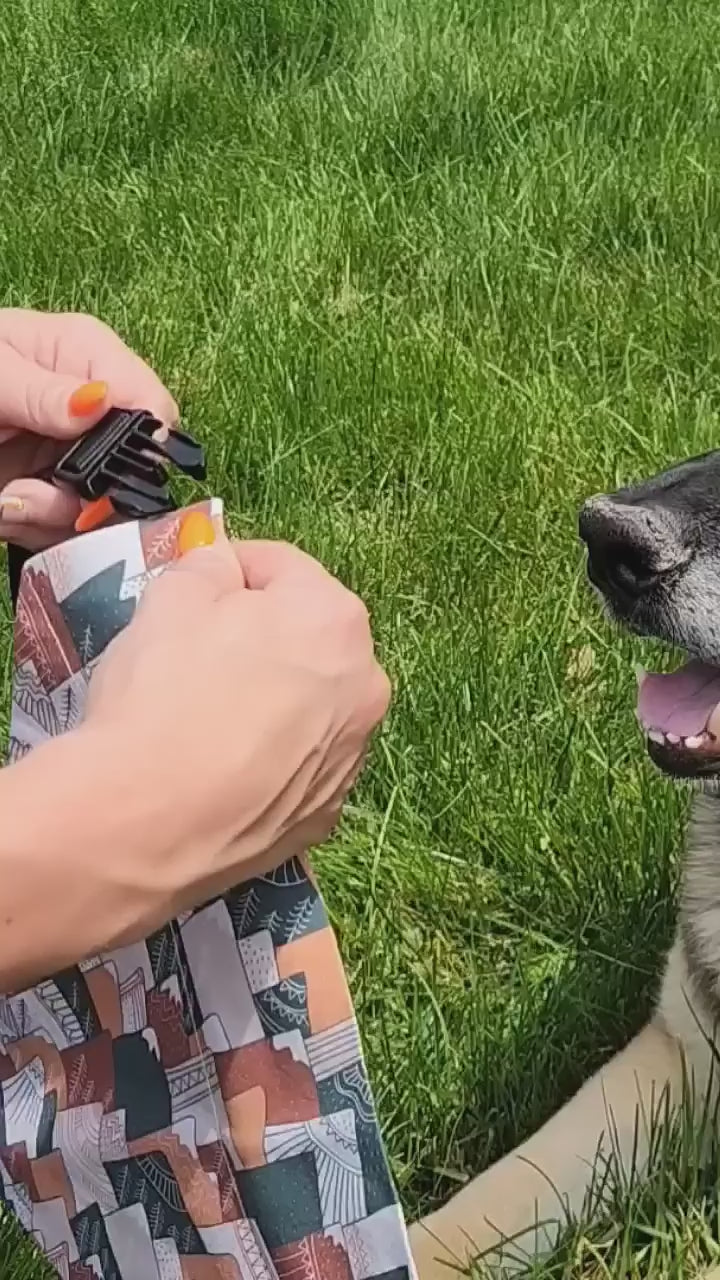 Lucky Ladybug Pet Bandana