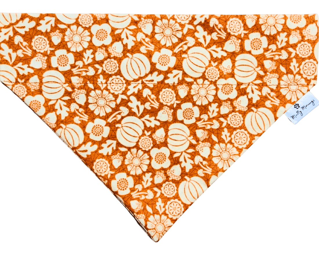 Pumpkin Blooms Pet Bandana - Mutty Mornings