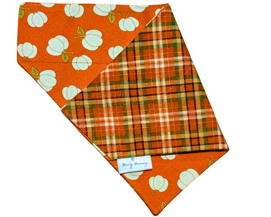 Pumpkin Patch Plaid Reversible Pet Bandana - Mutty Mornings