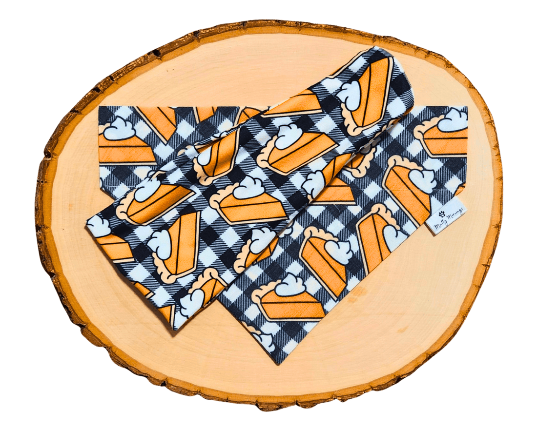 Pumpkin Pie Bandana &amp; Headband Set - Mutty Mornings