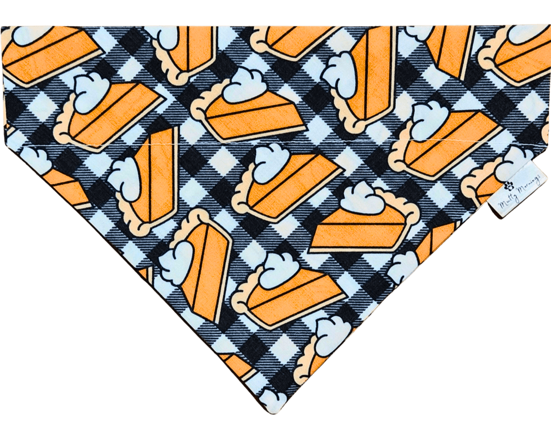 Pumpkin Pie Bandana &amp; Headband Set - Mutty Mornings