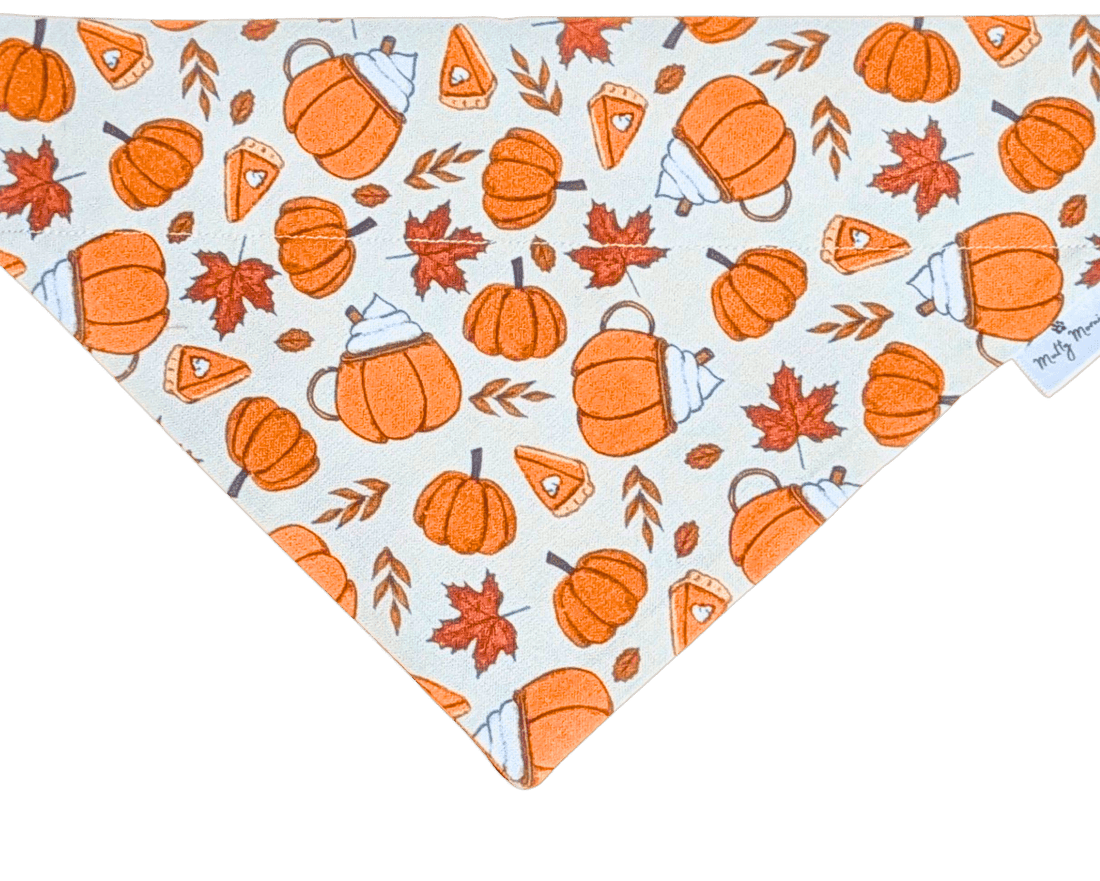 Pumpkin Spice &amp; Everything Nice Pet Bandana - Mutty Mornings