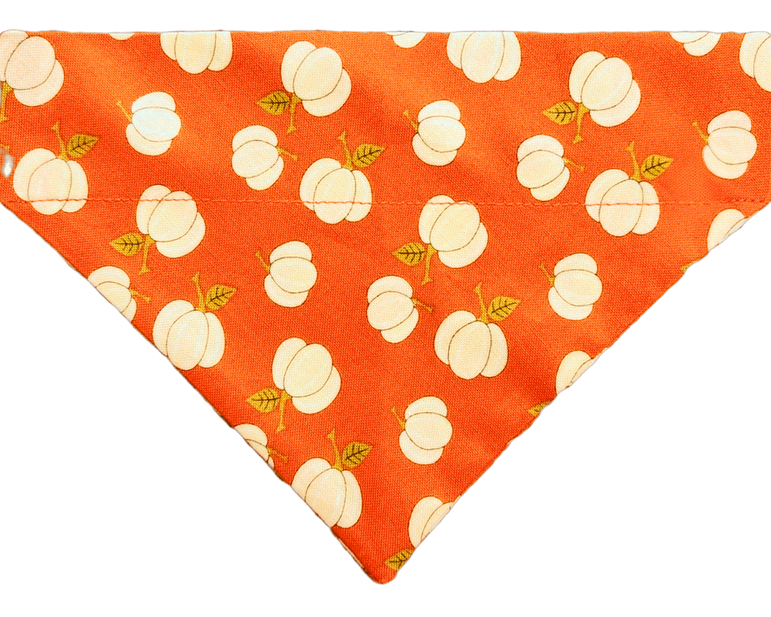 Pumpkin Spice Pet Bandana - Mutty Mornings