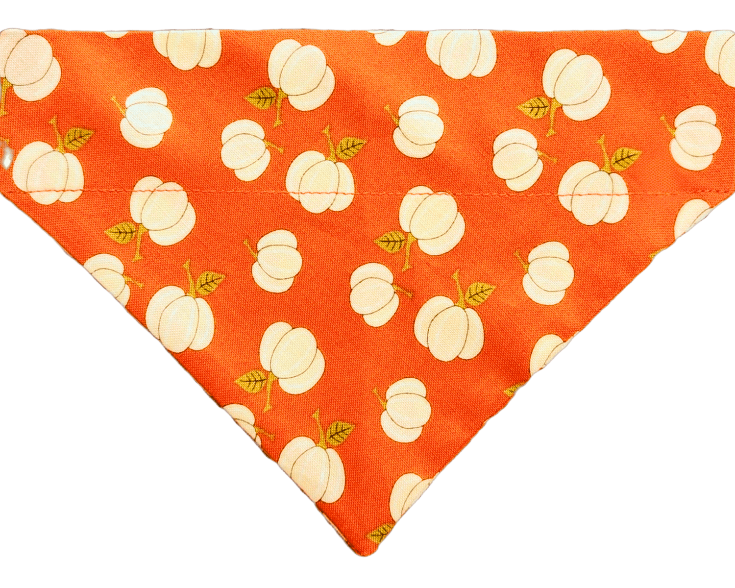 Pumpkin Spice Pet Bandana - Mutty Mornings