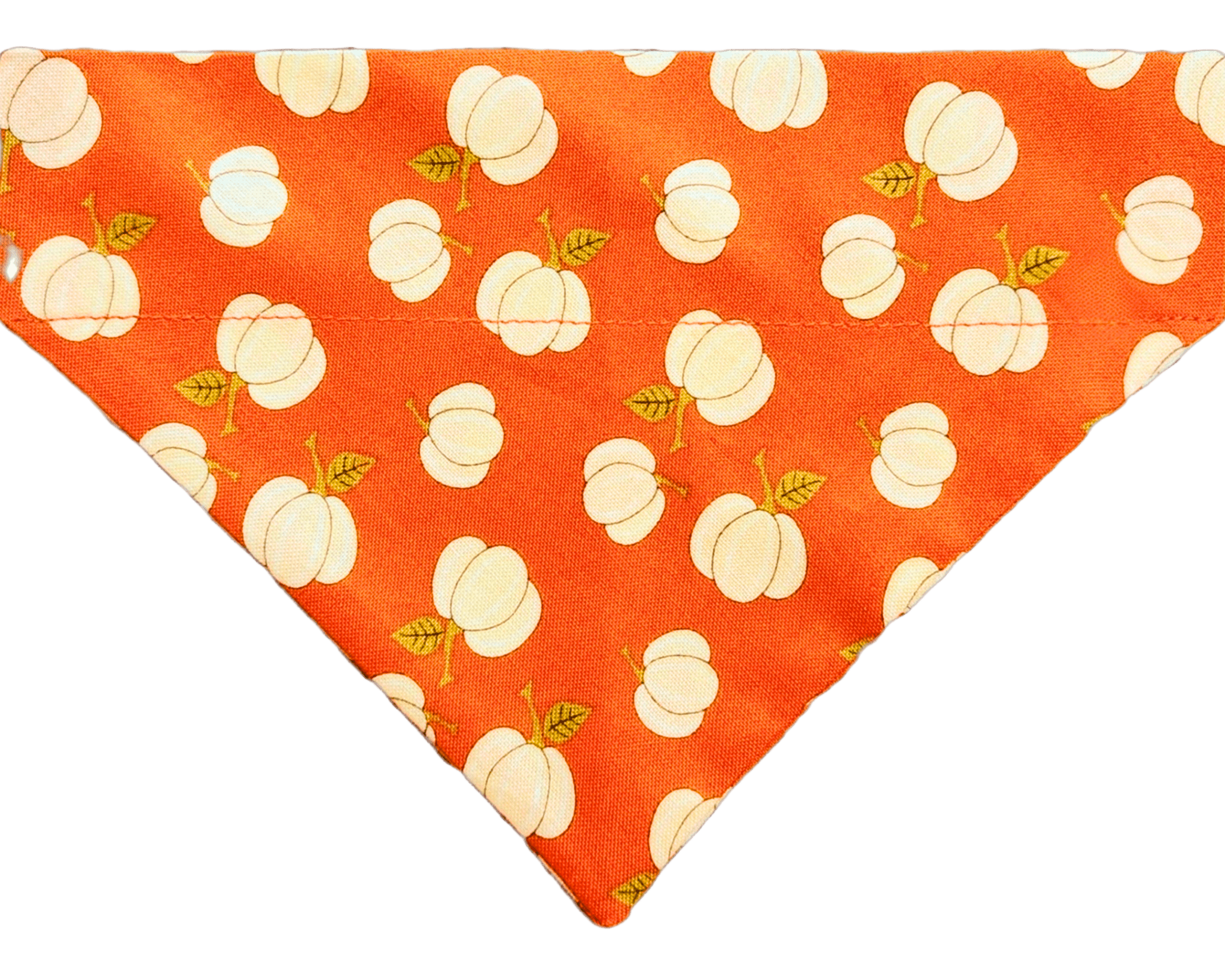 Pumpkin Spice Pet Bandana - Mutty Mornings
