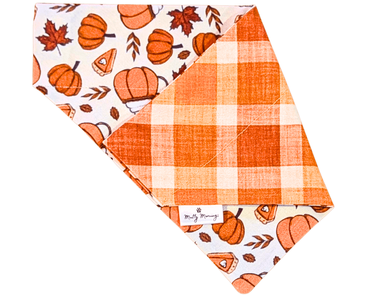 Pumpkin Spice Plaid Reversible Pet Bandana - Mutty Mornings