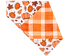 Pumpkin Spice Plaid Reversible Pet Bandana - Mutty Mornings