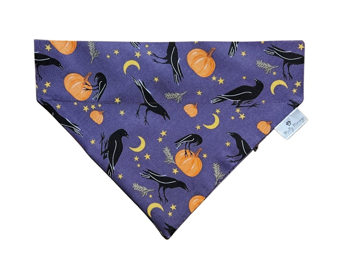 Raven Moon Pet Bandana - Mutty Mornings