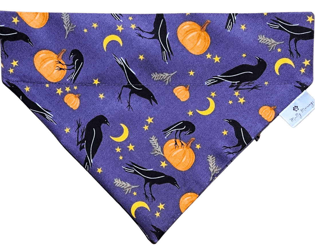 Raven Moon Pet Bandana - Mutty Mornings