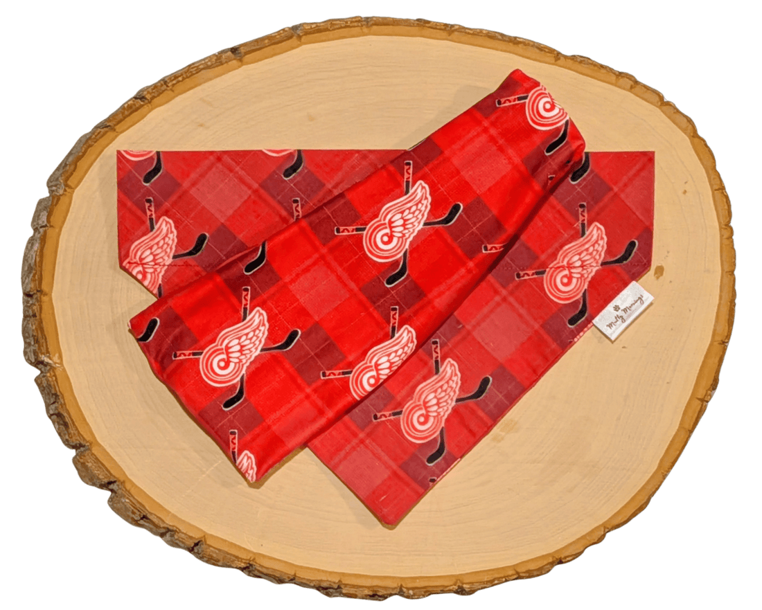 Red Wings Plaid Bandana &amp; Matching Headband Set - Mutty Mornings