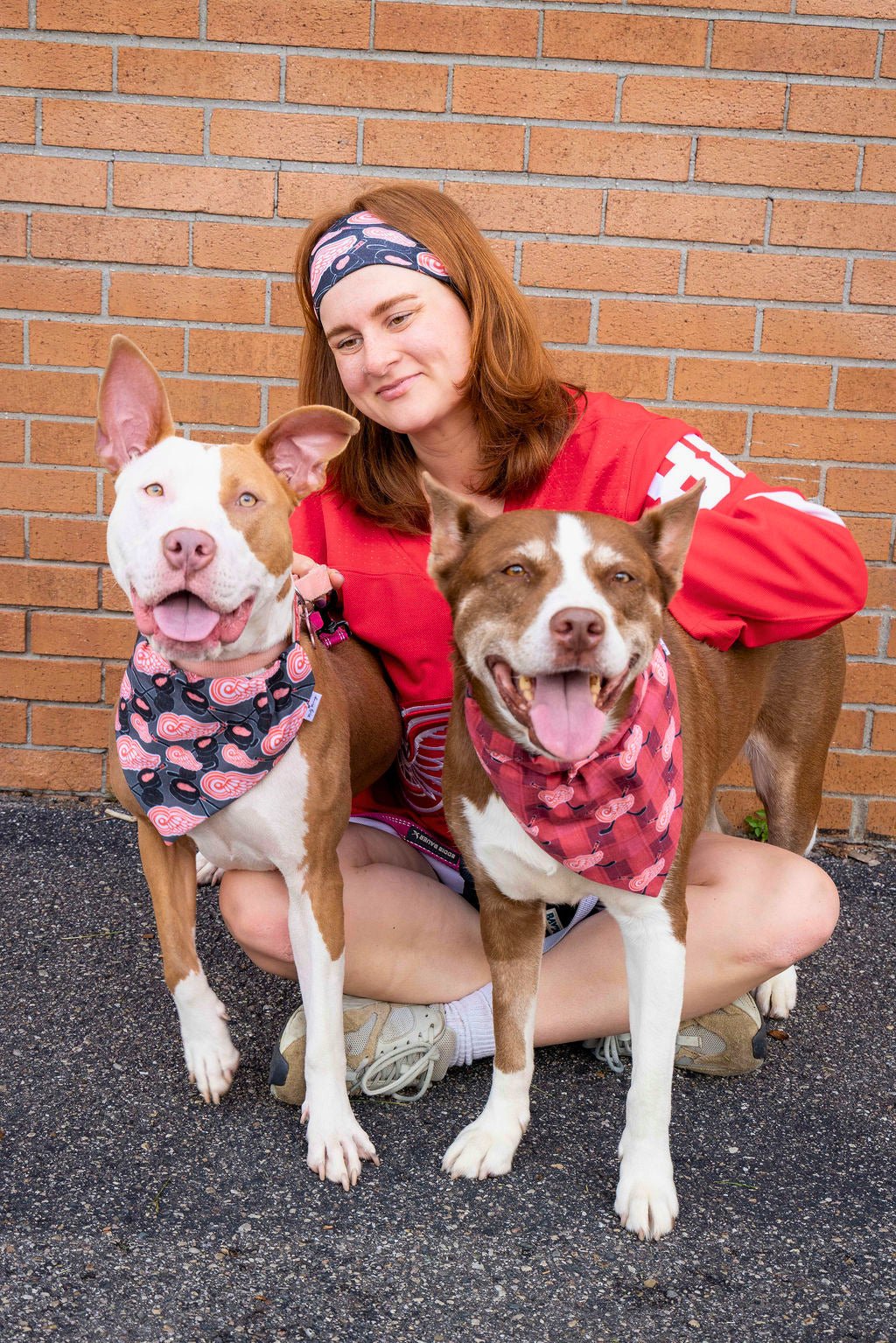 Red Wings Plaid Pet Bandana - Mutty Mornings