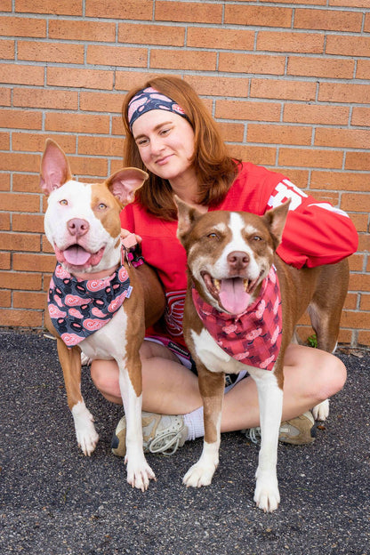 Red Wings Plaid Pet Bandana - Mutty Mornings