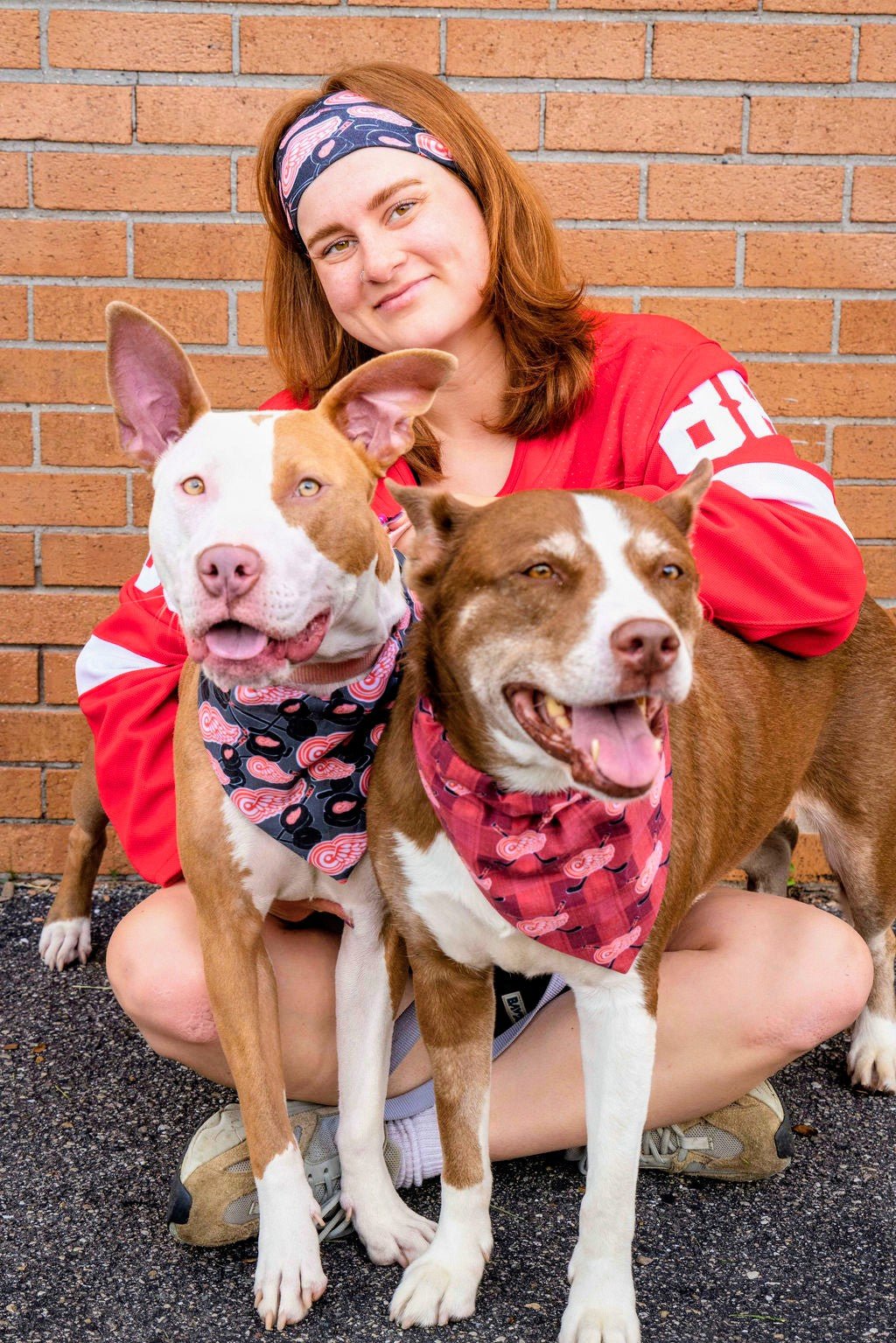 Red Wings Plaid Pet Bandana - Mutty Mornings