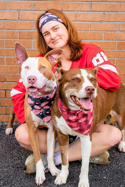 Red Wings Plaid Pet Bandana - Mutty Mornings