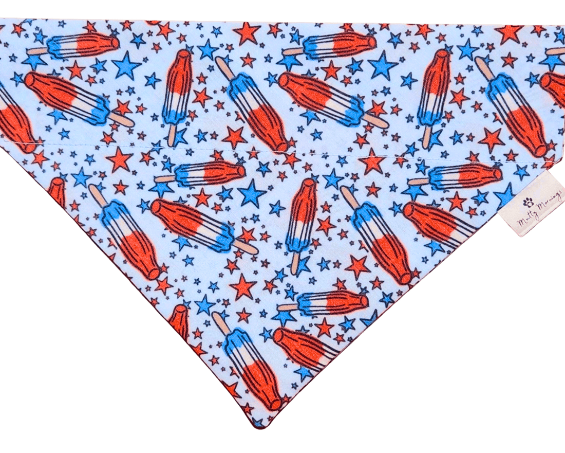 Rocket Pop Pup Pet Bandana - Mutty Mornings
