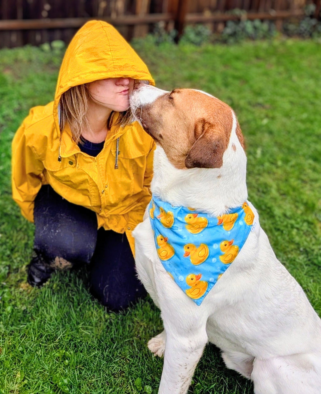 Rubber Ducky Pet Bandana - Mutty Mornings