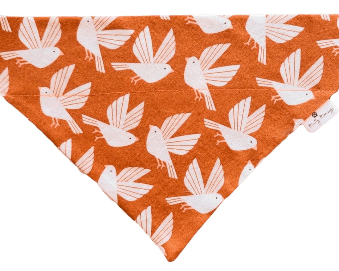 Rust &amp; Wing Pet Bandana - Mutty Mornings