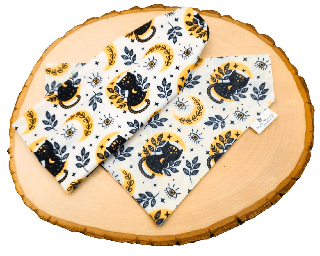 Salem Bandana &amp; Headband Set - Mutty Mornings