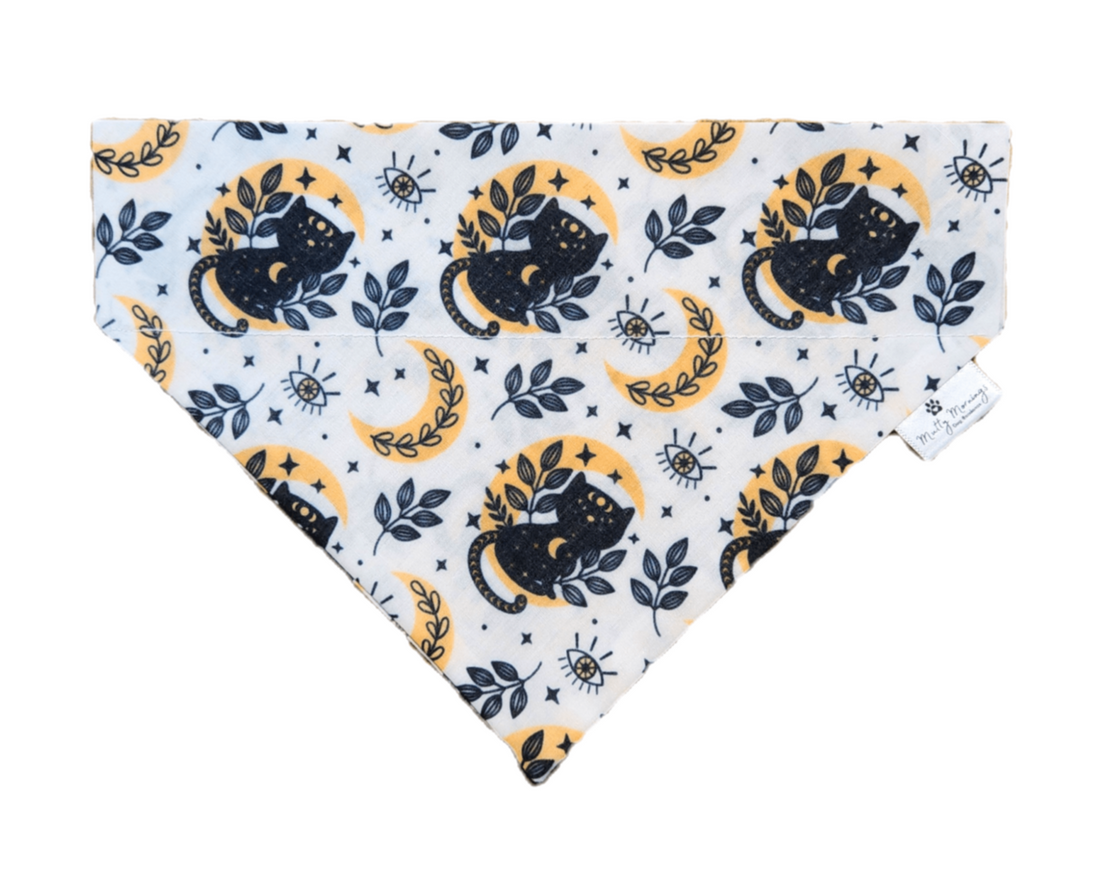 Salem Ivory Bandana &amp; Headband Set - Mutty Mornings