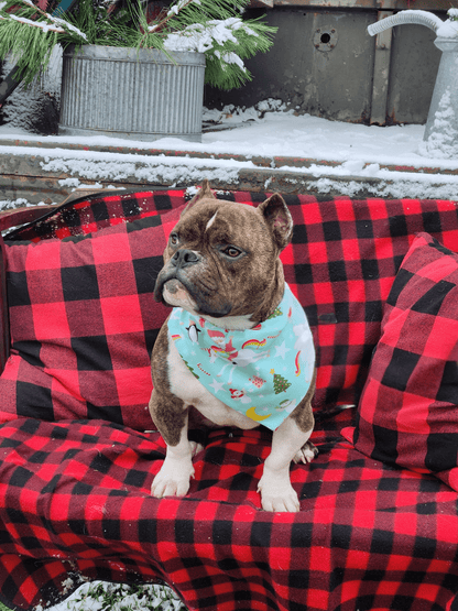 Santa Jumped Over the Rainbow Pet Bandana - Mutty Mornings