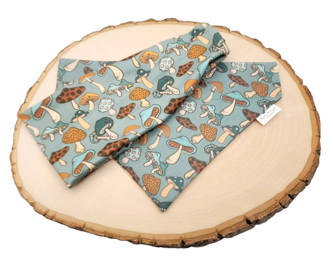 Sassy Mushroom Bandana and Headband Set - Mutty Mornings