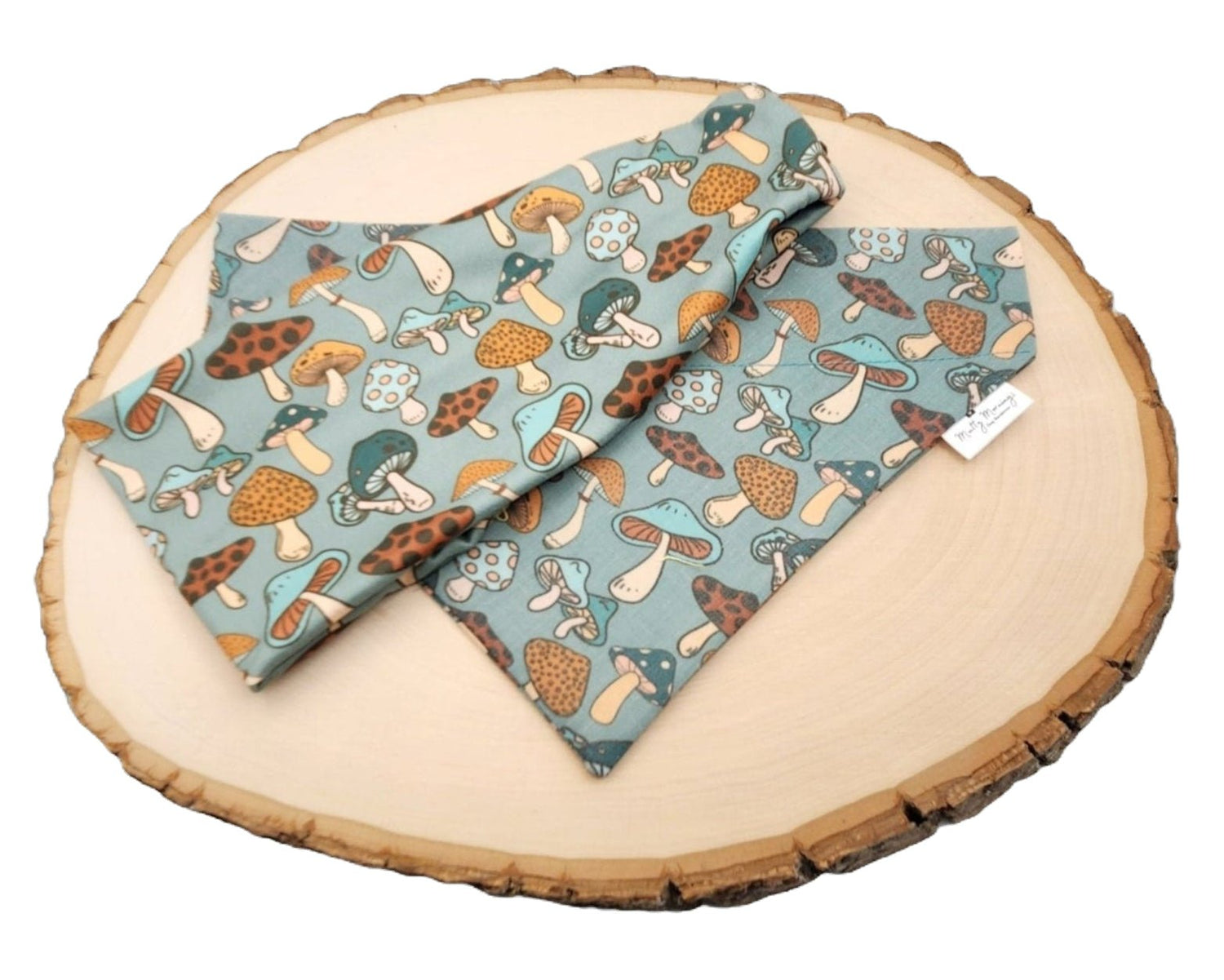 Sassy Mushroom Bandana and Headband Set - Mutty Mornings