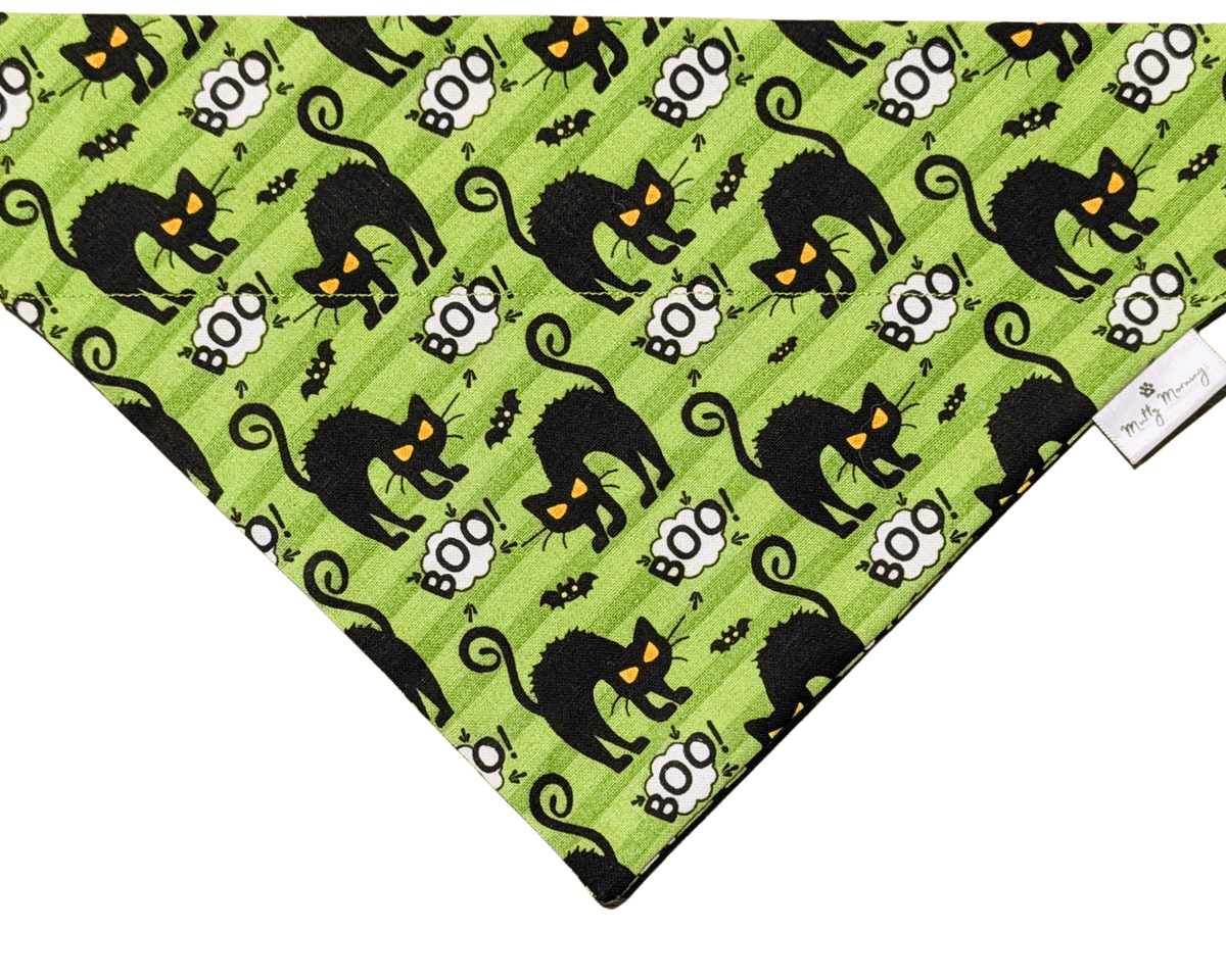 Scaredy Cat Pet Bandana - Mutty Mornings