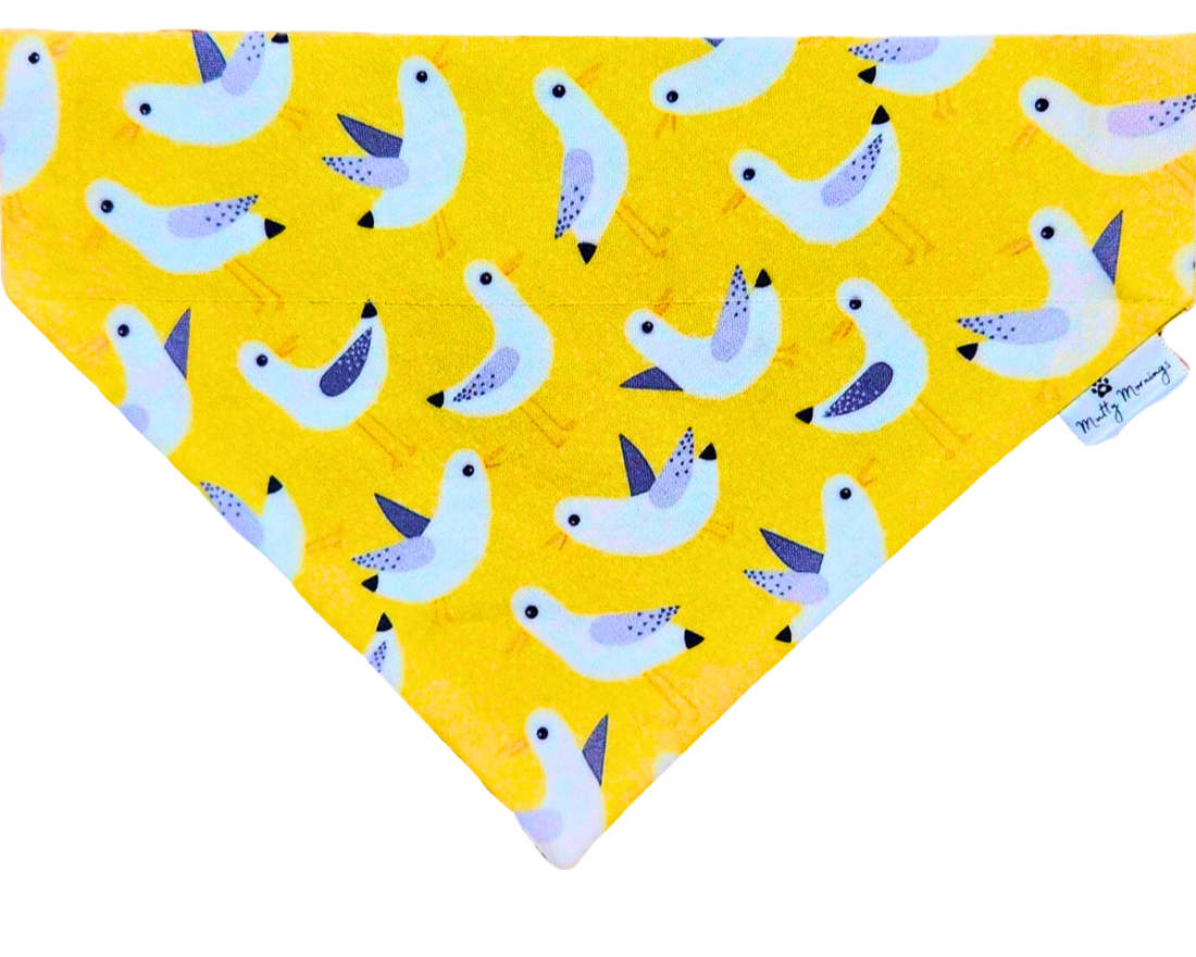 Seagulls Pet Bandana - Mutty Mornings