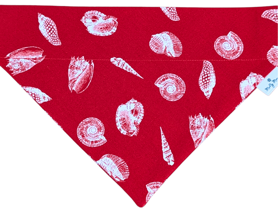 Shoreline Shells Pet Bandana - Mutty Mornings