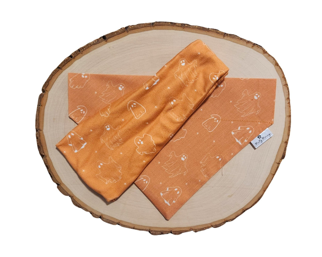Simply Spooky Bandana &amp; Headband Set - Mutty Mornings