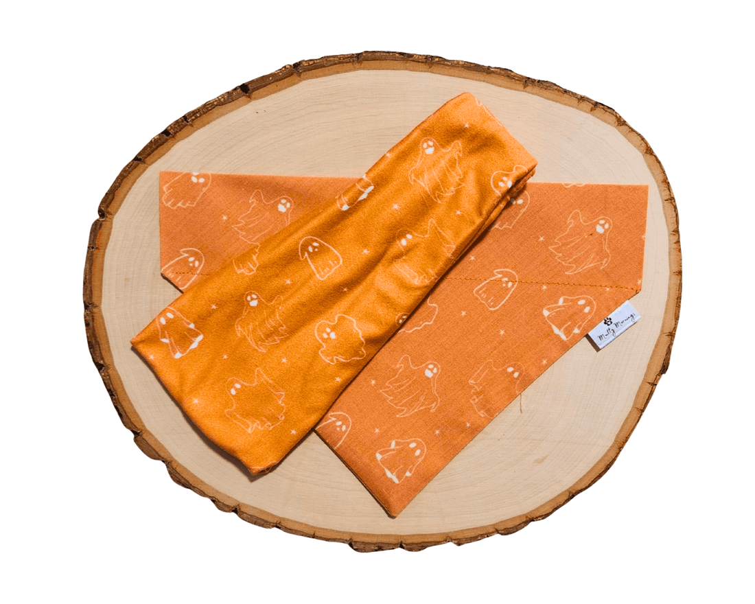 Simply Spooky Bandana &amp; Headband Set - Mutty Mornings