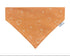 Simply Spooky Pet Bandana - Mutty Mornings