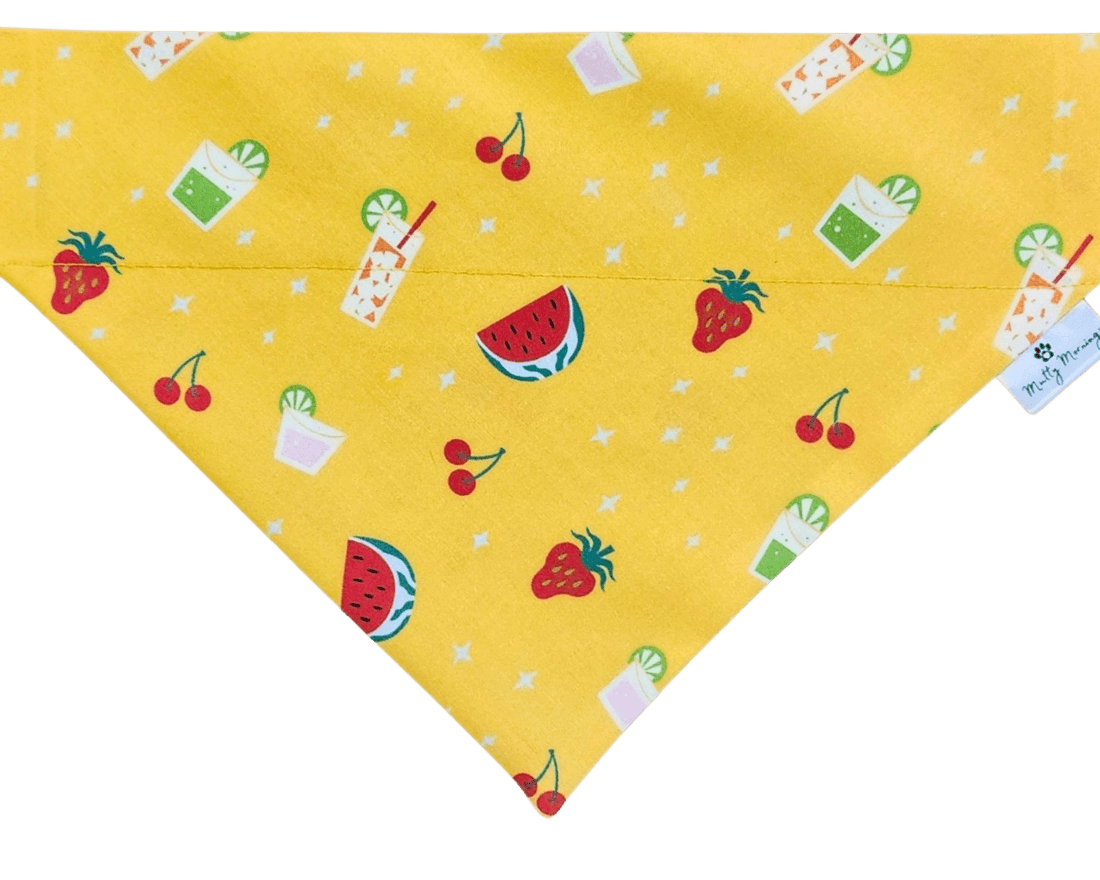 Sips &amp; Sunshine Pet Bandana - Mutty Mornings