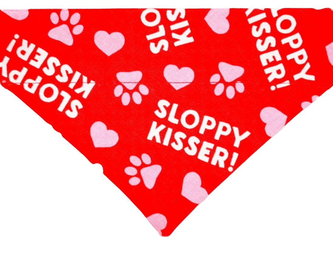 Sloppy Kisser Pet Bandana - Mutty Mornings