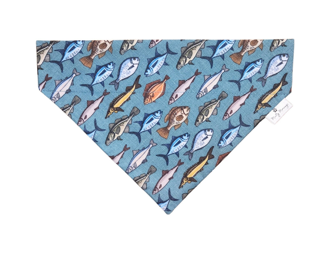 Something Fishy Pet Bandana - Mutty Mornings