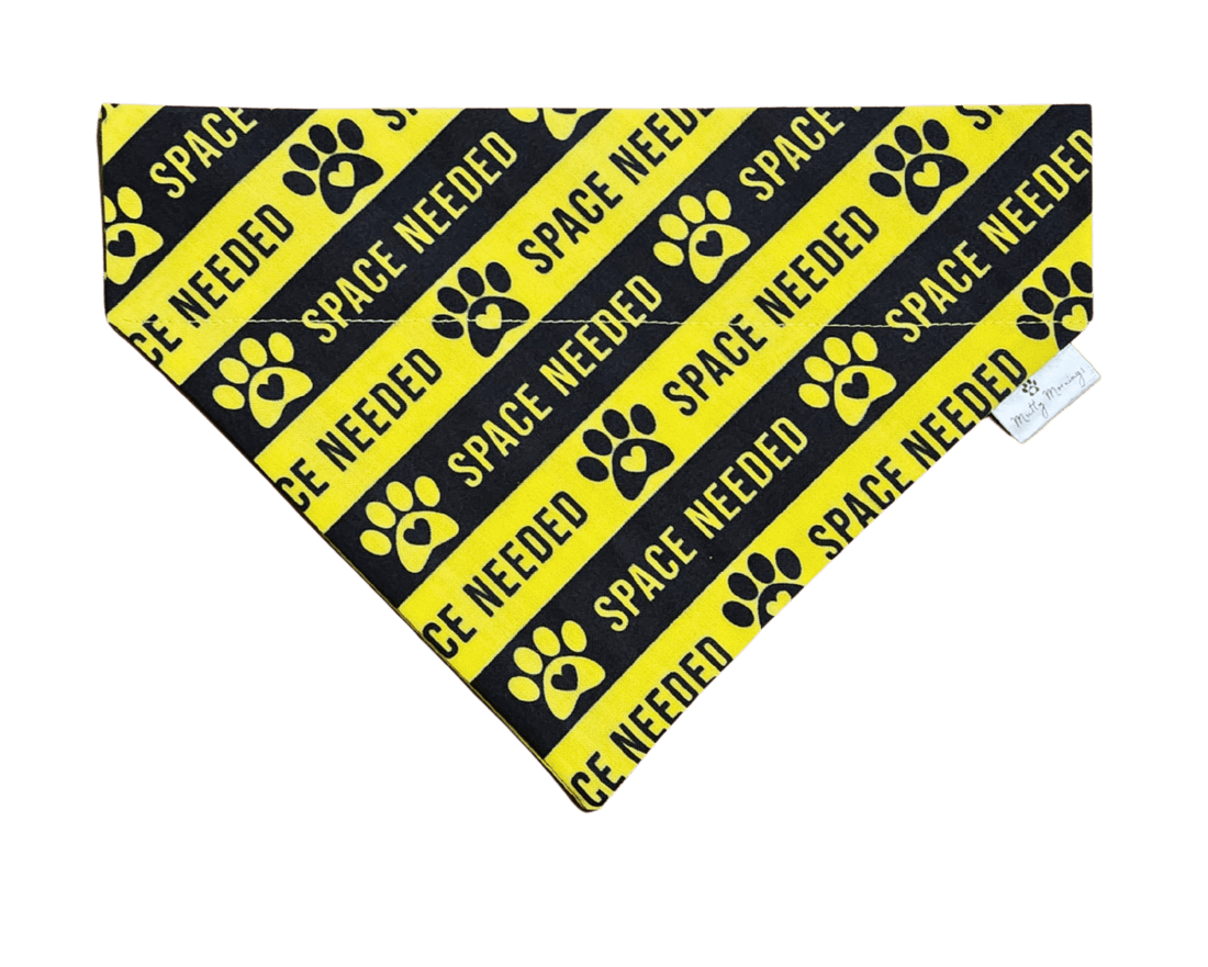 Space Needed Pet Bandana - Mutty Mornings