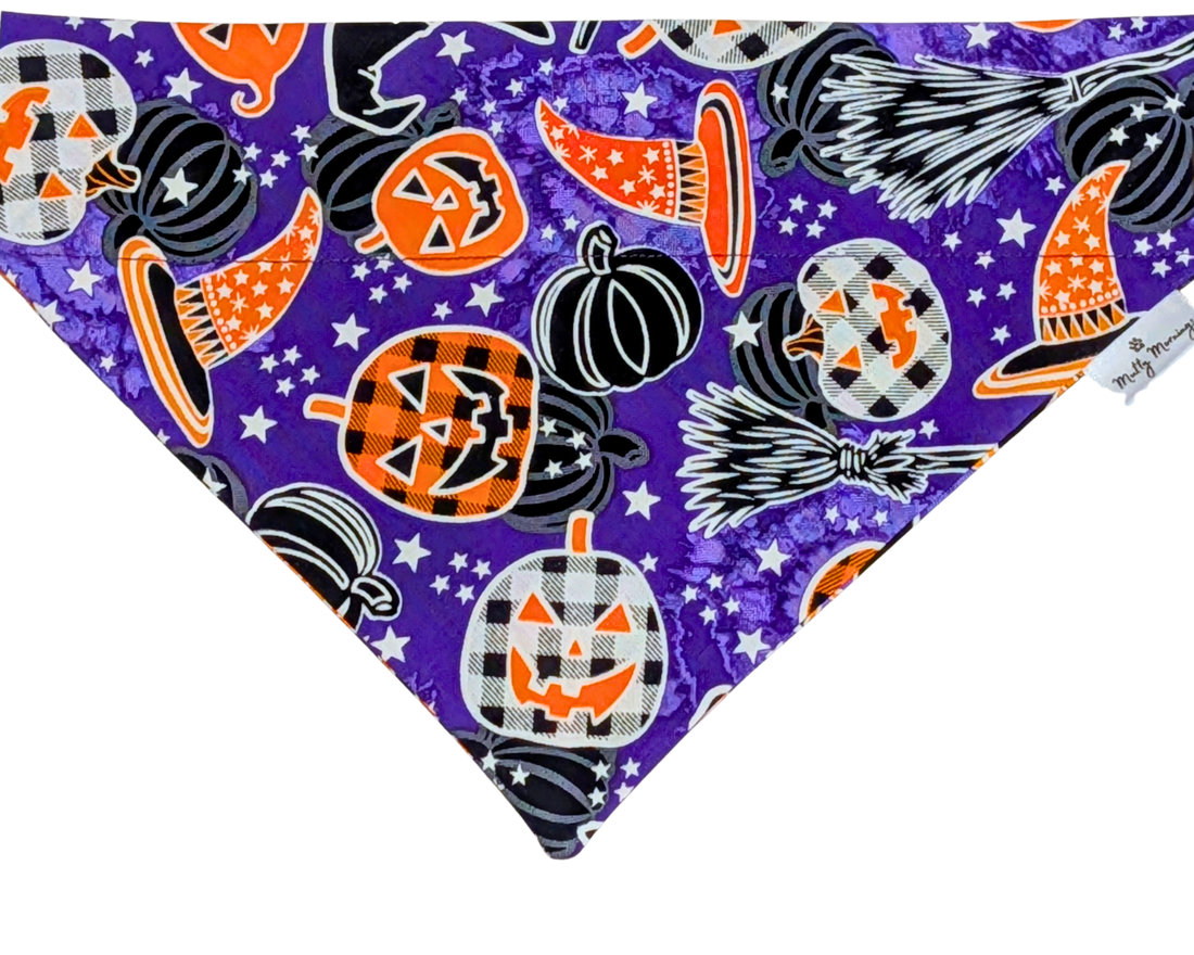Spellbound Pet Bandana - Mutty Mornings