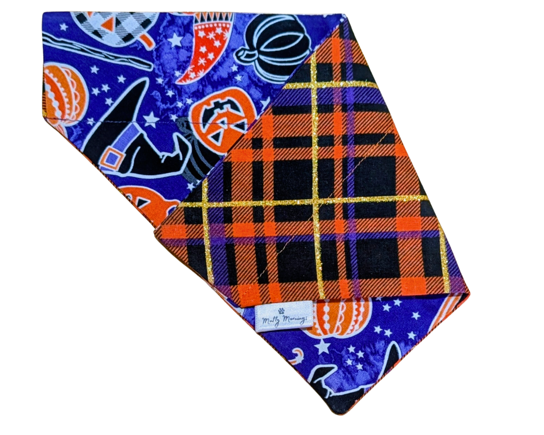 Spellbound Plaid Reversible Pet Bandana - Mutty Mornings