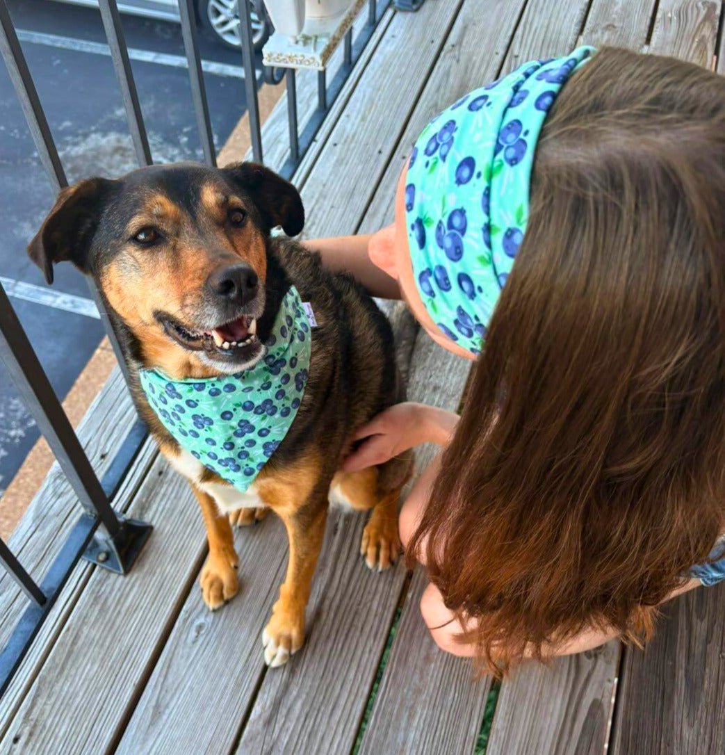 Spilled Blueberries Bandana &amp; Headband Set - Mutty Mornings