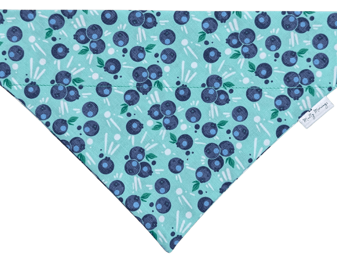 Spilled Blueberries Bandana &amp; Headband Set - Mutty Mornings