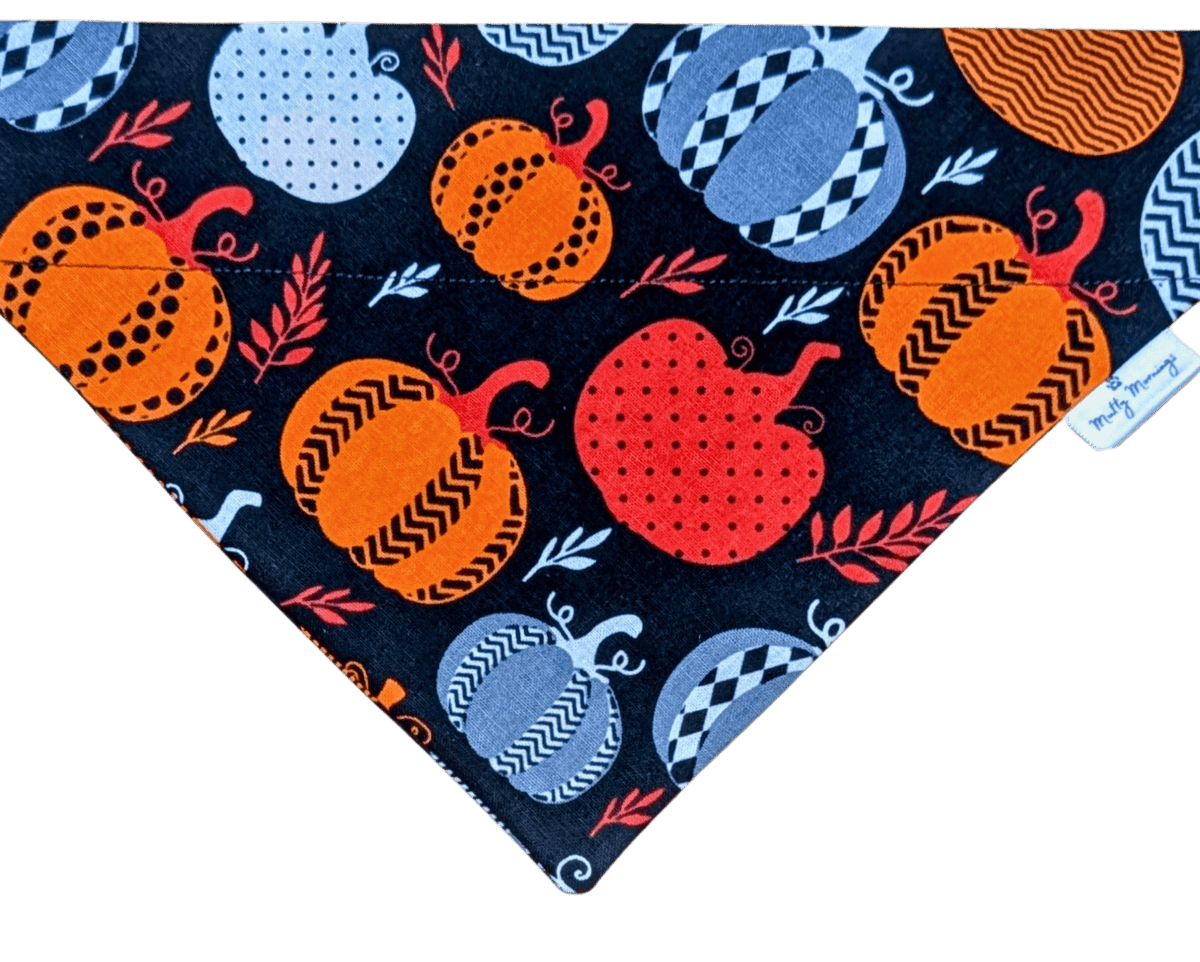 Spooky Harvest Pet Bandana - Mutty Mornings